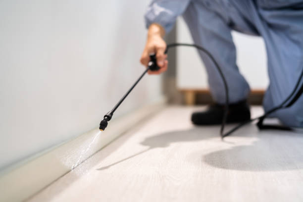 Licensed Fumigation Services service in Lincoln County County, WI - Nex Pest Control